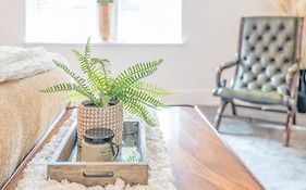 Gorgeous New 1 Bedroom Penthouse Flat